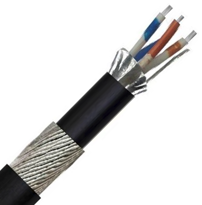 OFB2 2pr 24AWG Overall Foil and Braid Screen SWA 600V Black PE (9842)